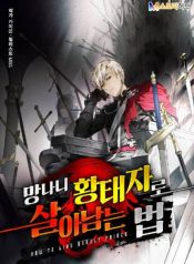 How To Survive as a Crazy Prince
